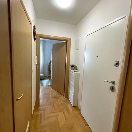 Dalmatino *